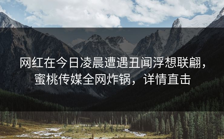 网红在今日凌晨遭遇丑闻浮想联翩，蜜桃传媒全网炸锅，详情直击