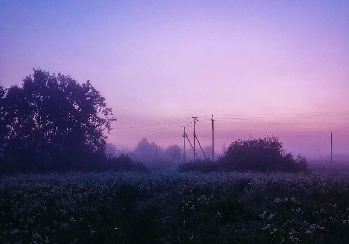 网红在傍晚时刻遭遇tangxin 爆红网络，糖心vlog全网炸锅，详情查看