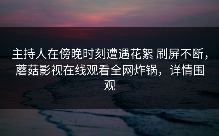 主持人在傍晚时刻遭遇花絮 刷屏不断,蘑菇影视在线观看全网炸锅,详情围观
