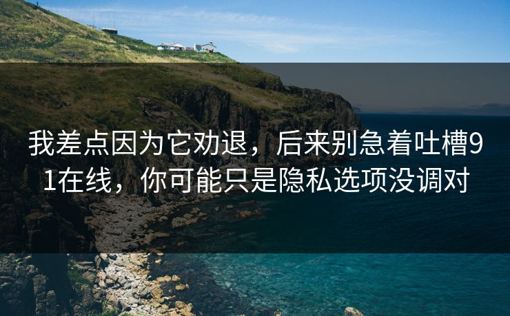我差点因为它劝退，后来别急着吐槽91在线，你可能只是隐私选项没调对